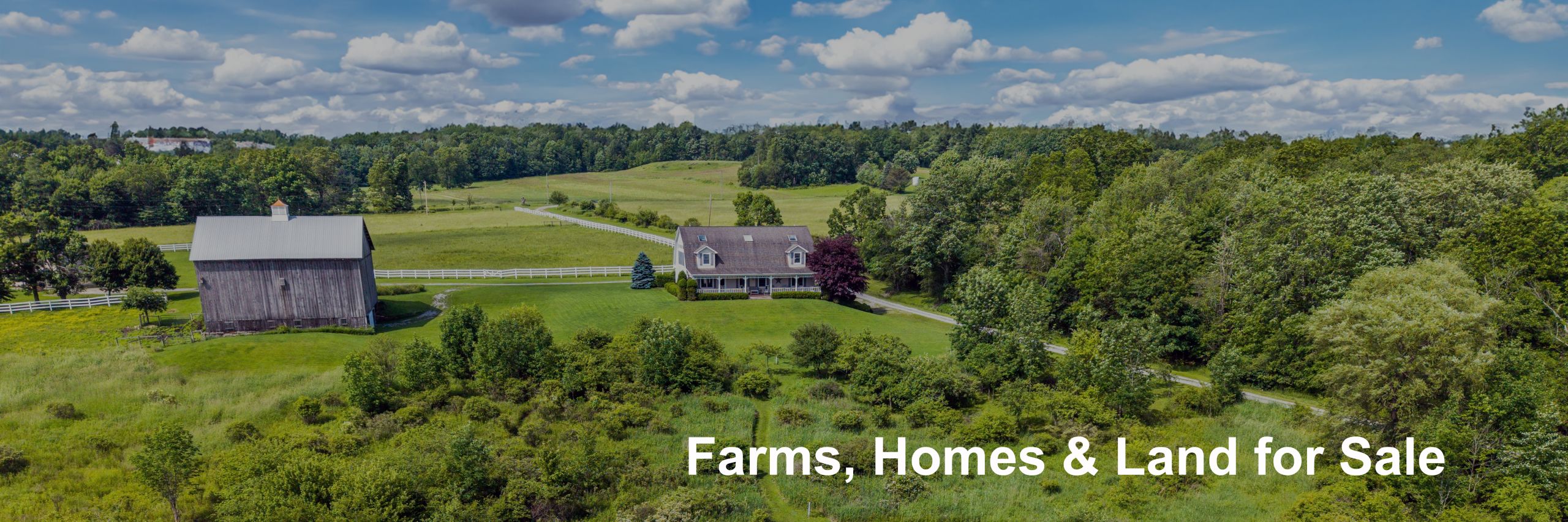 Professional Sales Team Slider