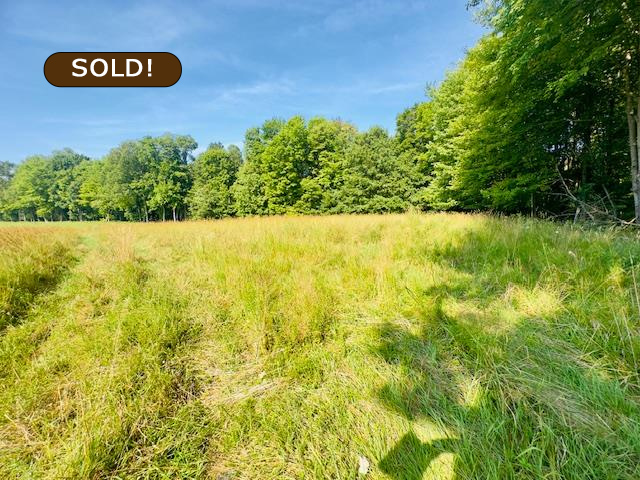 Beautiful Land in Seneca sold by Hemlock Realty